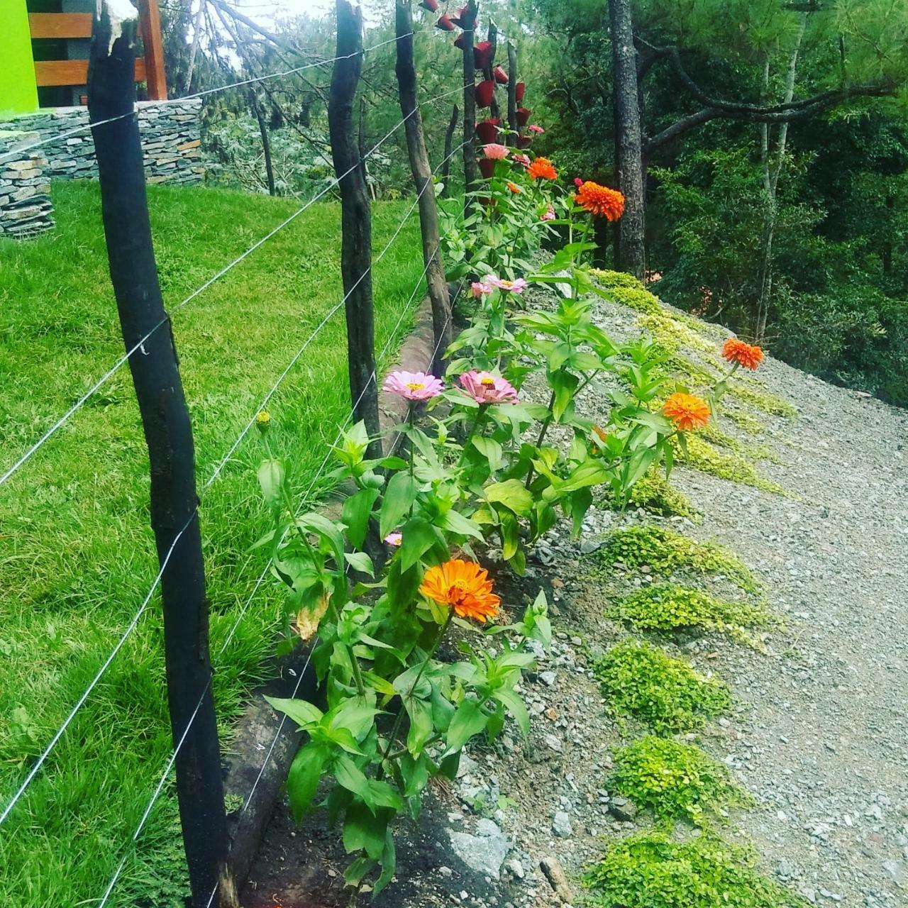Mi Hogar Jarabacoa Apartment Luaran gambar